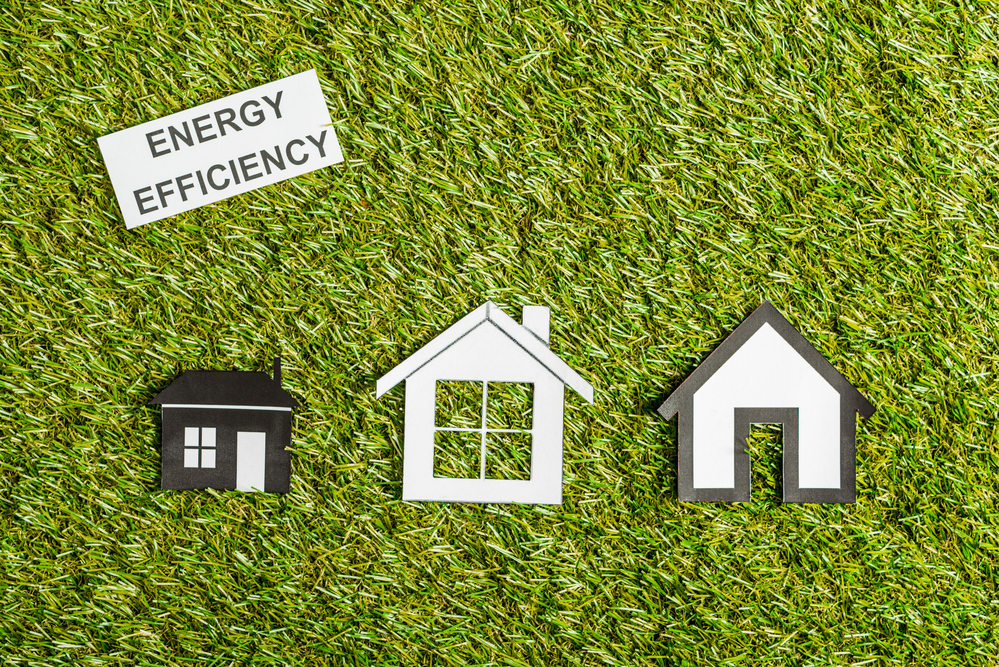 Energy efficiency grass