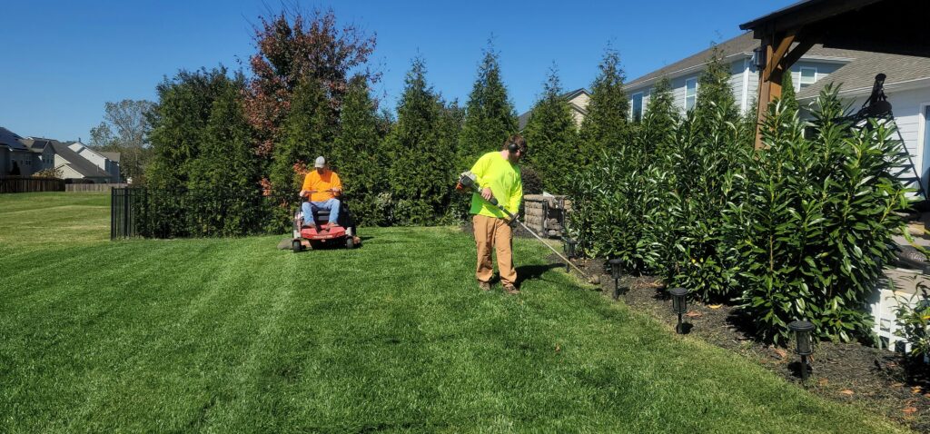 landscaping